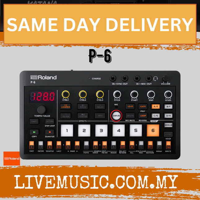 Roland Aira Compact P-6 Creative Sampler ( P6 P 6 )