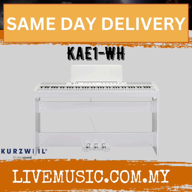 Kurzweil KaE1 Portable Digital Piano with ST-3 Keyboard Stand - White ( Ka E1 Ka-E1 )