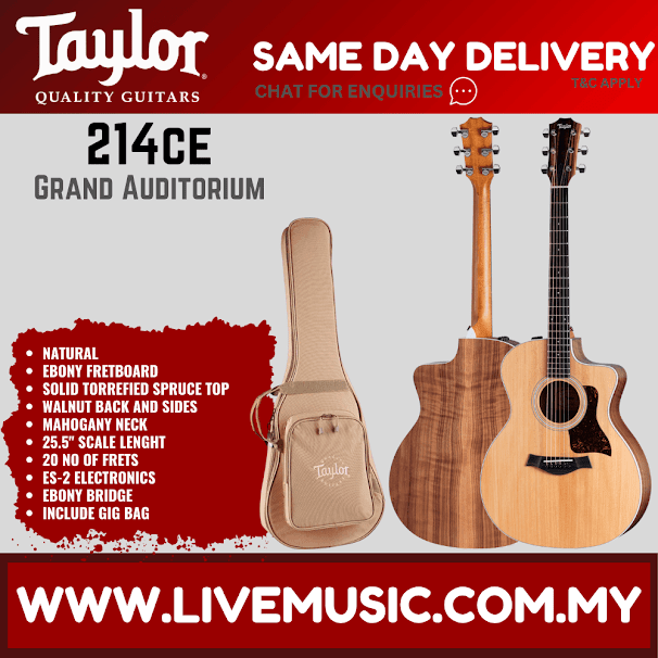 Acoustic guitar with gig bag, natural walnut/spruce grand auditorium style