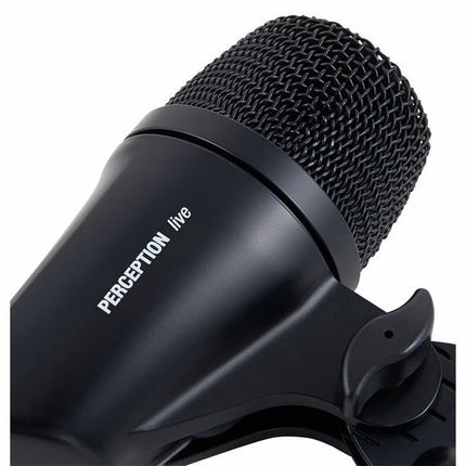 AKG P2 Cardioid Dynamic Bass Microphone (P 2/P-2)
