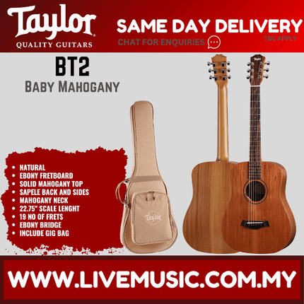 Taylor BT2 - Mahogany Top with Bag (BT 2 / BT-2)