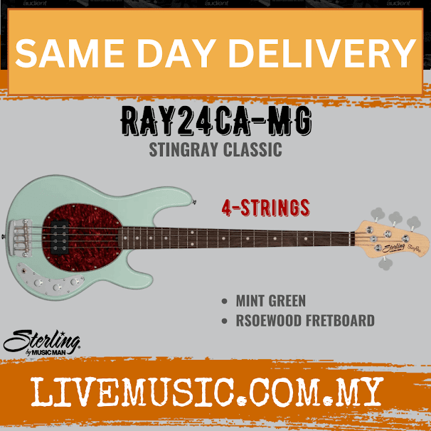 Sterling by Music Man RAY24CA StingRay Classic 4-String Electric Bass Guitar - Mint Green (RAY-24CA/RAY 24CA)