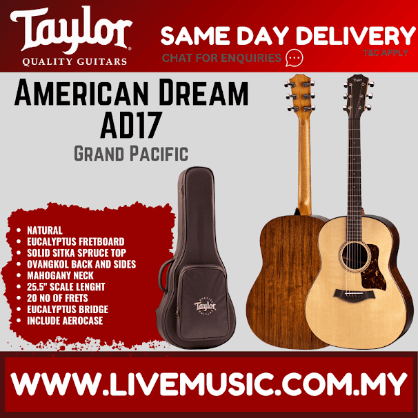 Natural Grand Pacific acoustic guitar with dark gig bag case, headstock and sound hole