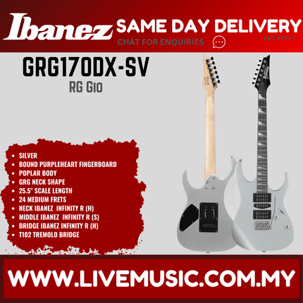 Ibanez GRG170DX Rg Gio Series Electric Guitar, Silver (GRG170DX-BKN GRG170DX-SV)