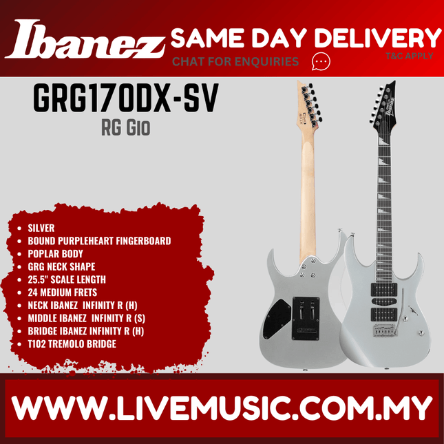 Ibanez GRG170DX Rg Gio Series Electric Guitar, Silver (GRG170DX-BKN GRG170DX-SV)
