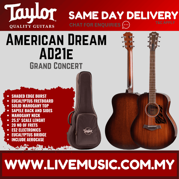 Mahogany acoustic guitar with shaded edge burst finish and arched hard case