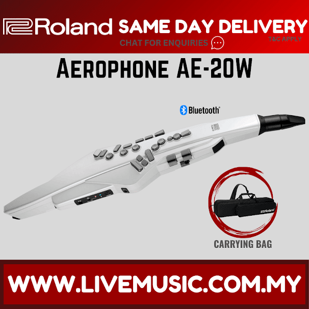 Roland Aerophone AE-20W Digital Wind Instrument - White ( AE20W / AE 20W )
