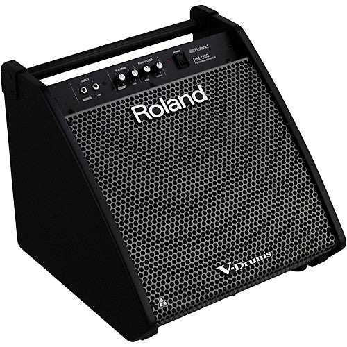 Roland PM-200 - 180 Watt, 1x12" Personal Drum Monitor (PM200/PM)