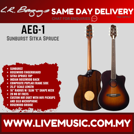 LR Baggs AEG-1 Acoustic Electric Guitar, Sunburst Sitka Spruce Top ( AEG1 / AEG- 1 )