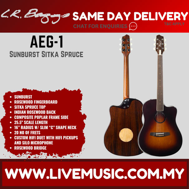 LR Baggs AEG-1 Acoustic Electric Guitar, Sunburst Sitka Spruce Top ( AEG1 / AEG- 1 )
