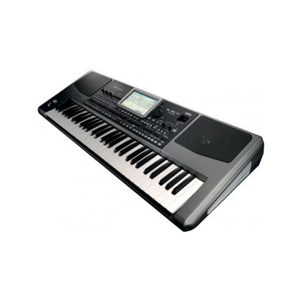 Korg Pa300 - 61 Key Arranger Workstation with FREE Adapter (Pa-300)
