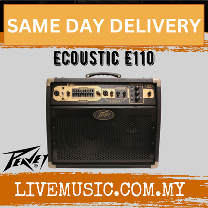 Peavey Ecoustic E110 - 100 watt 1x10 inch Acoustic Combo Amplifier (E-110)