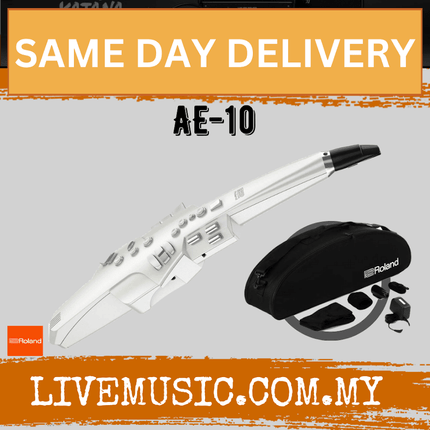 Roland AE-10 Aerophone Digital Wind Instrument ( AE10 )