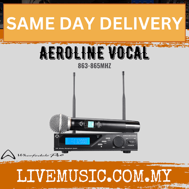 Dual-channel handheld wireless microphone set, 863-865 MHz, with receiver and display