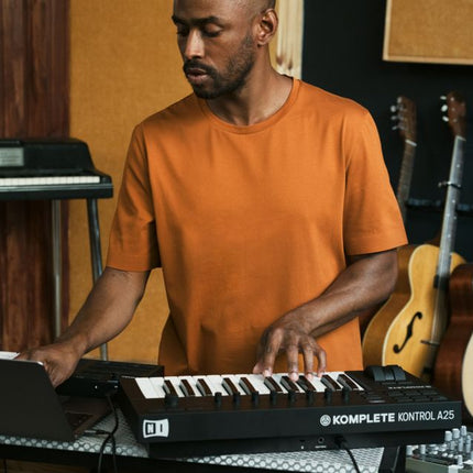 Native Instruments Komplete Kontrol A25 25-key MIDI Controller Keyboard (A-25/A 25)