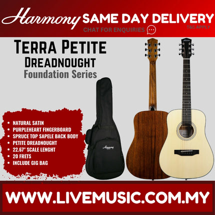 Harmony Foundation Series Terra Petite Dreadnought Acoustic Guitar w/Bag, Natural Satin