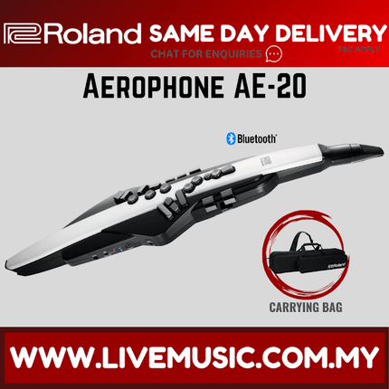 Roland Aerophone AE-20 Digital Wind Instrument ( AE20 )