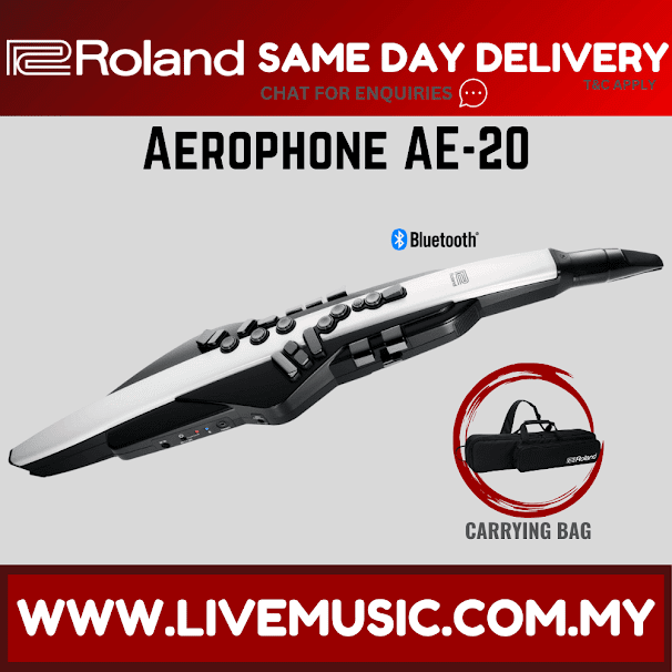Roland Aerophone AE-20 Digital Wind Instrument ( AE20 )