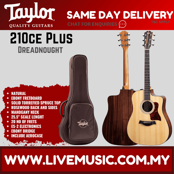 Taylor 210ce Plus Rosewood/Spruce Dreadnought Acoustic Guitar w/Aerocase, Natural