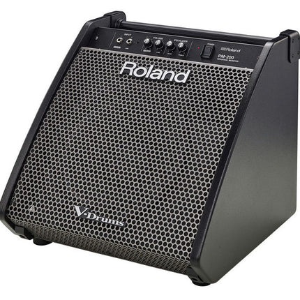 Roland PM-200 - 180 Watt, 1x12" Personal Drum Monitor (PM200/PM)