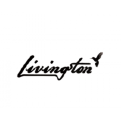 Livingston GA-09 EQ 41" Solid Top Grand Auditorium Size Acoustic-Electric Guitar - Natural ( GA09 GA 09 )