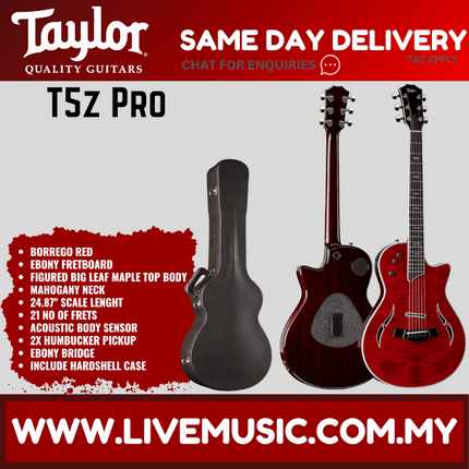 Taylor T5z Pro Electric Guitar w/Case, Borrego Red