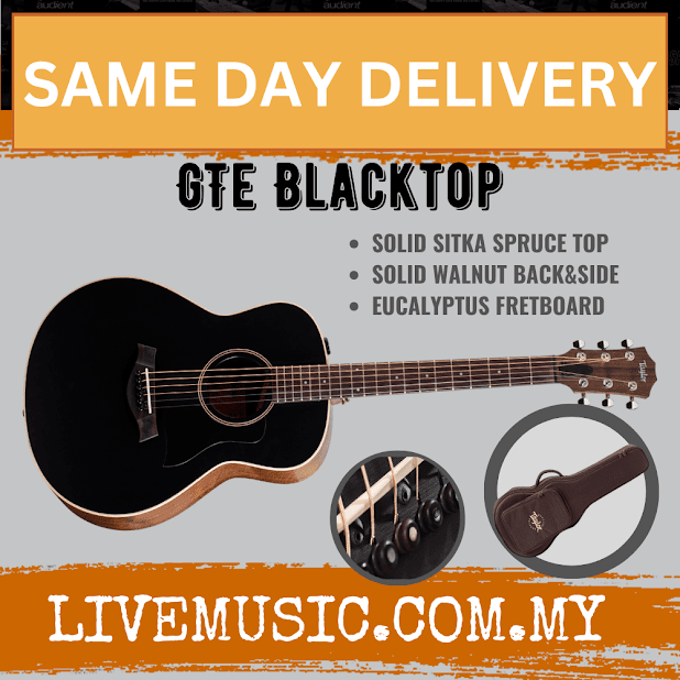 Taylor GTe Grand Theater Acoustic Guitar w/Aerocase, Blacktop