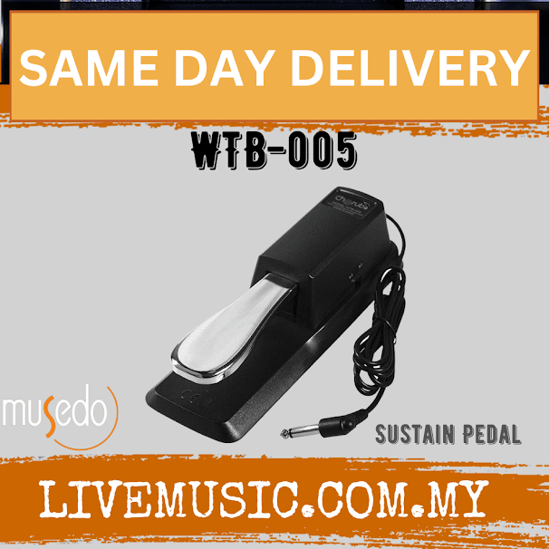 Black keyboard sustain pedal (WTB-005) with attached cable and 1/4 inch plug