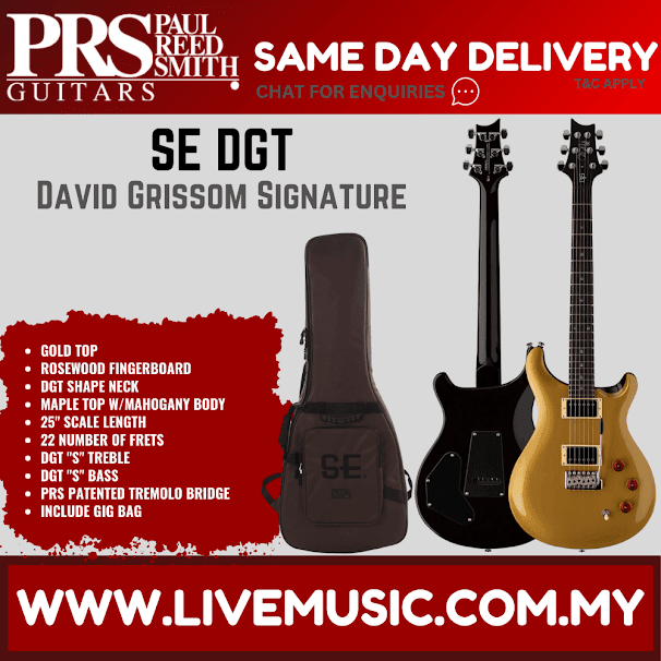 PRS SE DGT David Grissom Signature Electric Guitar w/GigBag, Rosewood FB, Gold Top