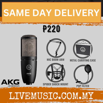 AKG P220 Large-diaphragm Condenser Microphone (P-220 / P 220)