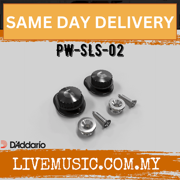 D'Addario PW-SLS-02 Planet Waves Universal Strap Lock System - Nickel (PWSLS02/PWSLS-02/DAddario)