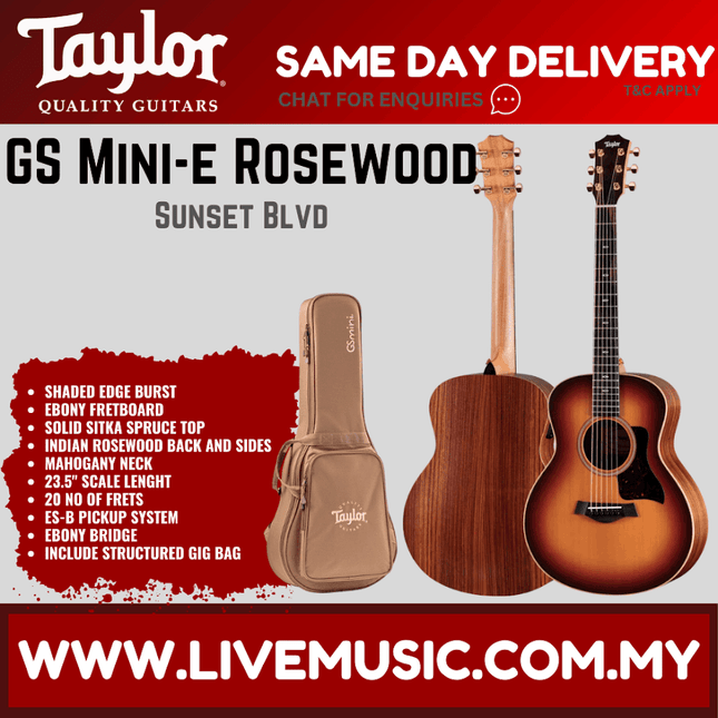 Rosewood acoustic guitar with shaded edge burst top and matching padded gig bag