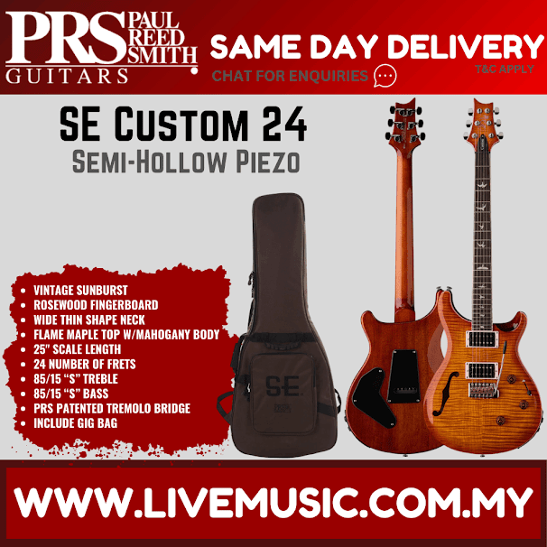 PRS SE Custom 24 Semi-Hollow Piezo w/GigBag, Rosewood FB, Vintage Sunburst