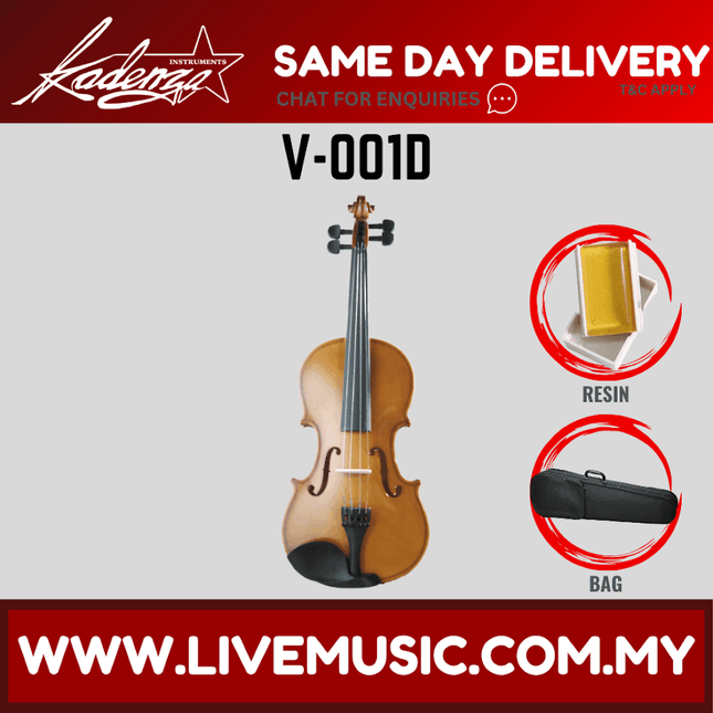 Spruce wood violin with hard case and ebony fingerboard, V-001D model