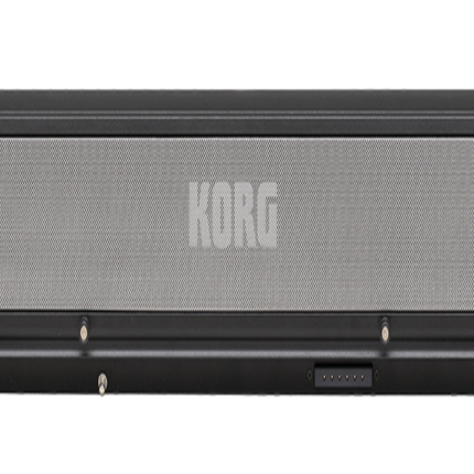 Korg PAAS-MKII Powered Speaker System Dedicated Amplification for Korg Pa-Series Arranger Keyboards ( PAASMKII PAAS MKII )