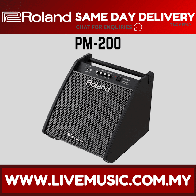 Roland PM-200 - 180 Watt, 1x12" Personal Drum Monitor (PM200/PM)