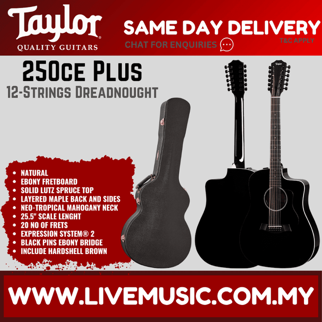 Black 12-string acoustic-electric guitar with case, Taylor 250ce Plus style.