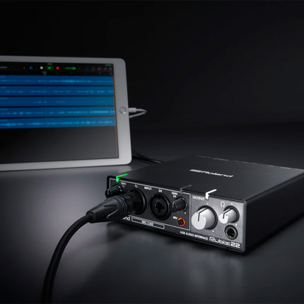 Roland Rubix22 - USB Audio Interface (RUBIX-22)