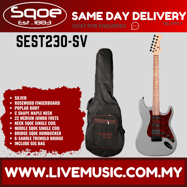 Silver superstrat-style HSS electric guitar with rosewood fretboard and black gig bag