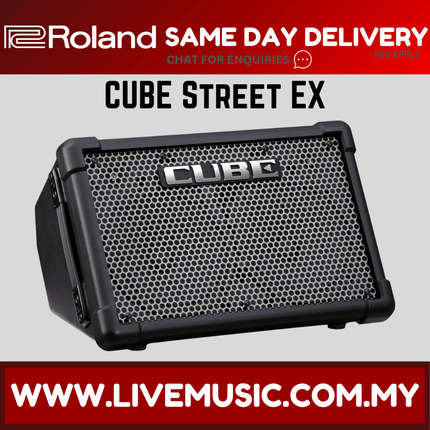 Roland CUBE STEX - Street Ex Cube 50-watt, 2x8" Battery Powered Combo Amplifier (CUBE-STEX/STREETCUBE)