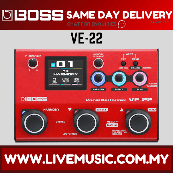 Boss VE-22 Portable Multi-Effects Vocal Processor ( VE22 / VE 22 )