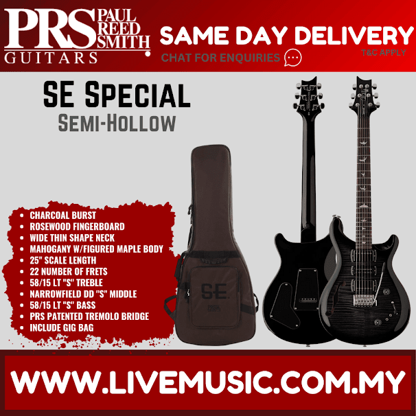 PRS SE Special Semi-Hollow Electric Guitar w/GigBag, Rosewood FB, Charcoal Burst