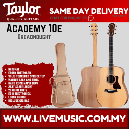 Taylor Academy 10e - Layered Sapele Back and Sides with Bag