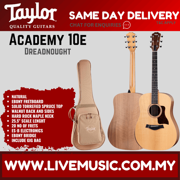Taylor Academy 10e - Layered Sapele Back and Sides with Bag