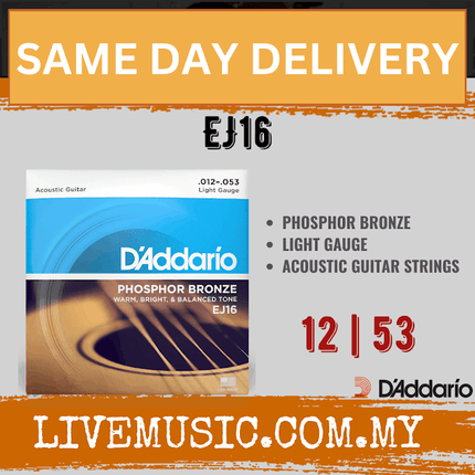 D'Addario EJ16 - Phosphor Bronze Acoustic Strings, Light (12-53)(DAddario)
