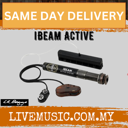 LR Baggs iMax (iBeam/Element) Dual Channel System Acoustic Guitar Pickup (i-Max)