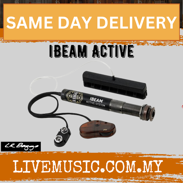 LR Baggs iMax (iBeam/Element) Dual Channel System Acoustic Guitar Pickup (i-Max)
