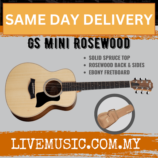 Taylor GS Mini Rosewood Acoustic Guitar w/Bag