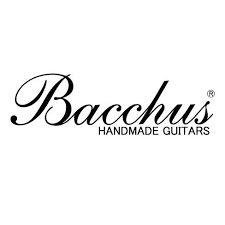 Bacchus Woodline5 Jindai 30th Anniversary/z Handmade Series Electric Guitar, Black Burst Mat