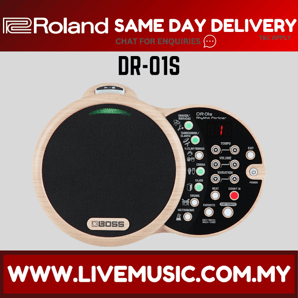 Boss DR-01S Rhythm Partner (DR01S DR 01S)